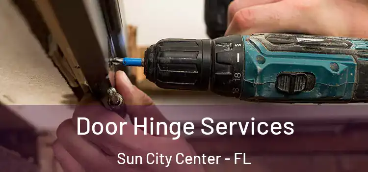  Door Hinge Services Sun City Center - FL