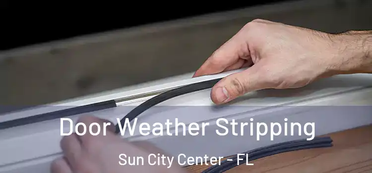  Door Weather Stripping Sun City Center - FL