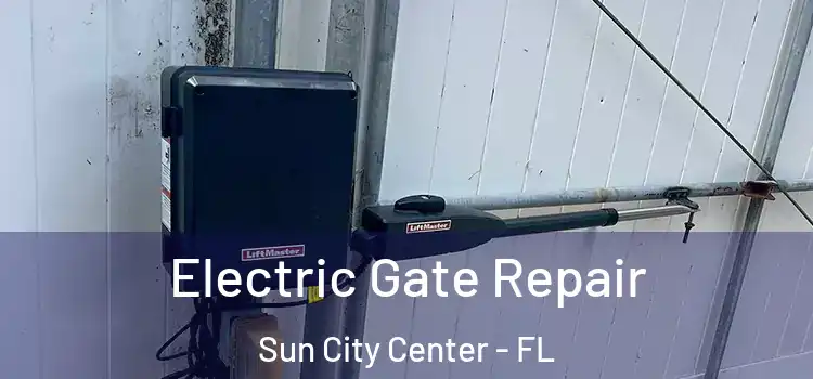  Electric Gate Repair Sun City Center - FL