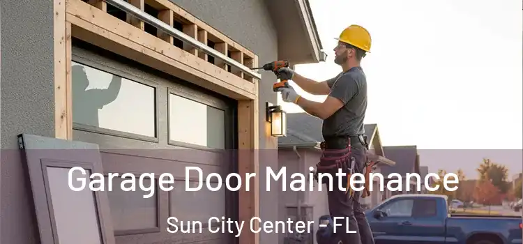  Garage Door Maintenance Sun City Center - FL