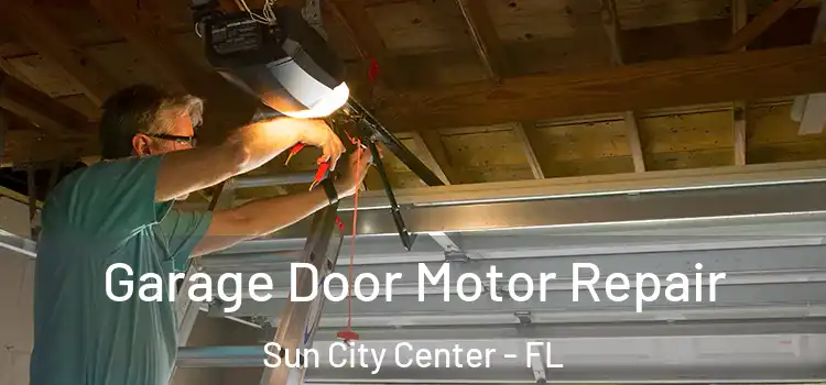  Garage Door Motor Repair Sun City Center - FL