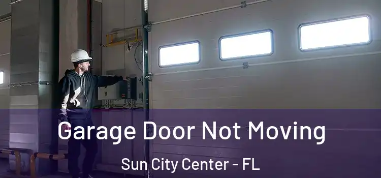  Garage Door Not Moving Sun City Center - FL