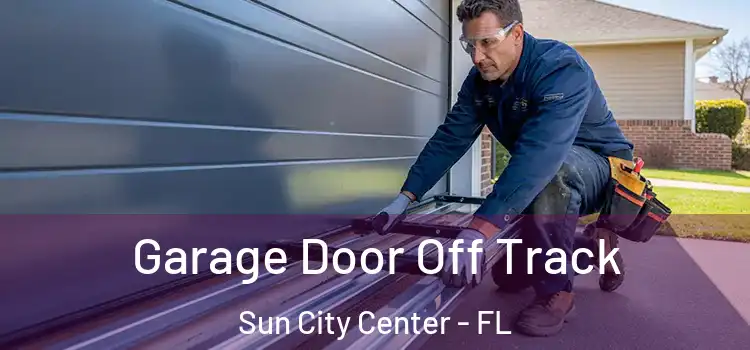  Garage Door Off Track Sun City Center - FL