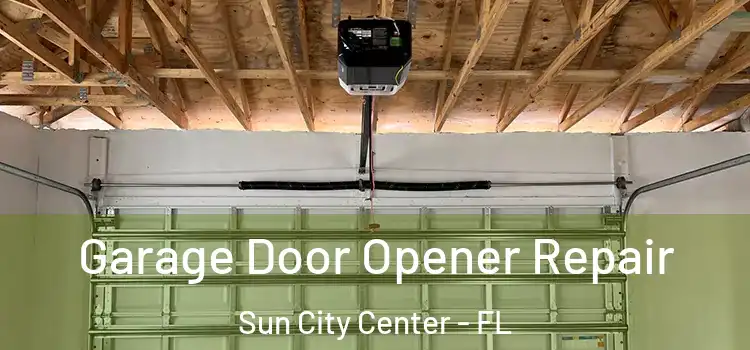  Garage Door Opener Repair Sun City Center - FL