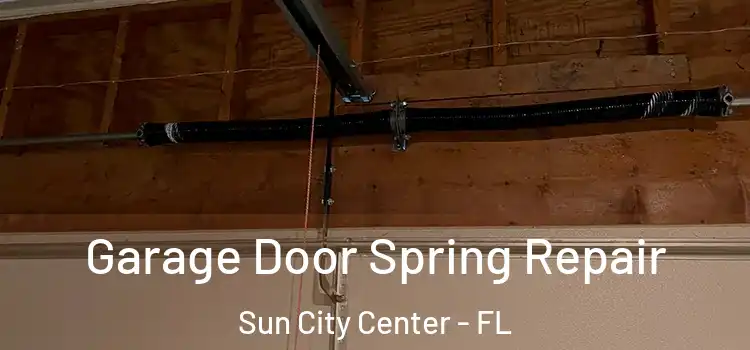  Garage Door Spring Repair Sun City Center - FL
