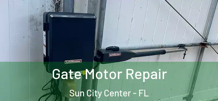 Gate Motor Repair Sun City Center - FL