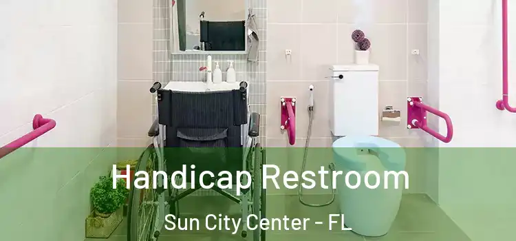  Handicap Restroom Sun City Center - FL