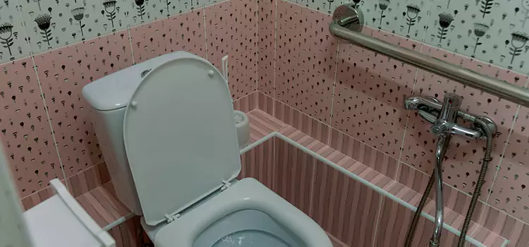 Meeting Diverse Needs With Accessible Restroom Solutions in Sun City Center, FL