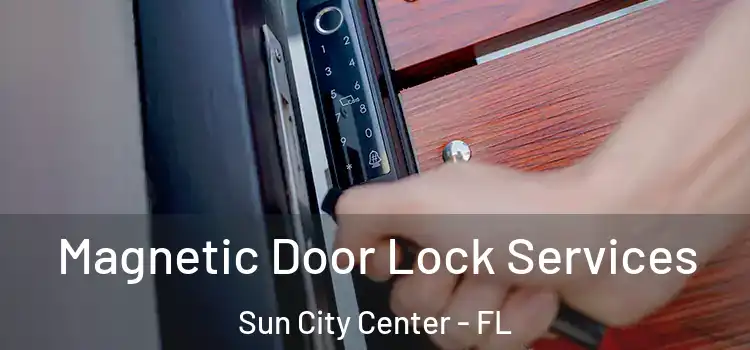 Magnetic Door Lock Services Sun City Center - FL
